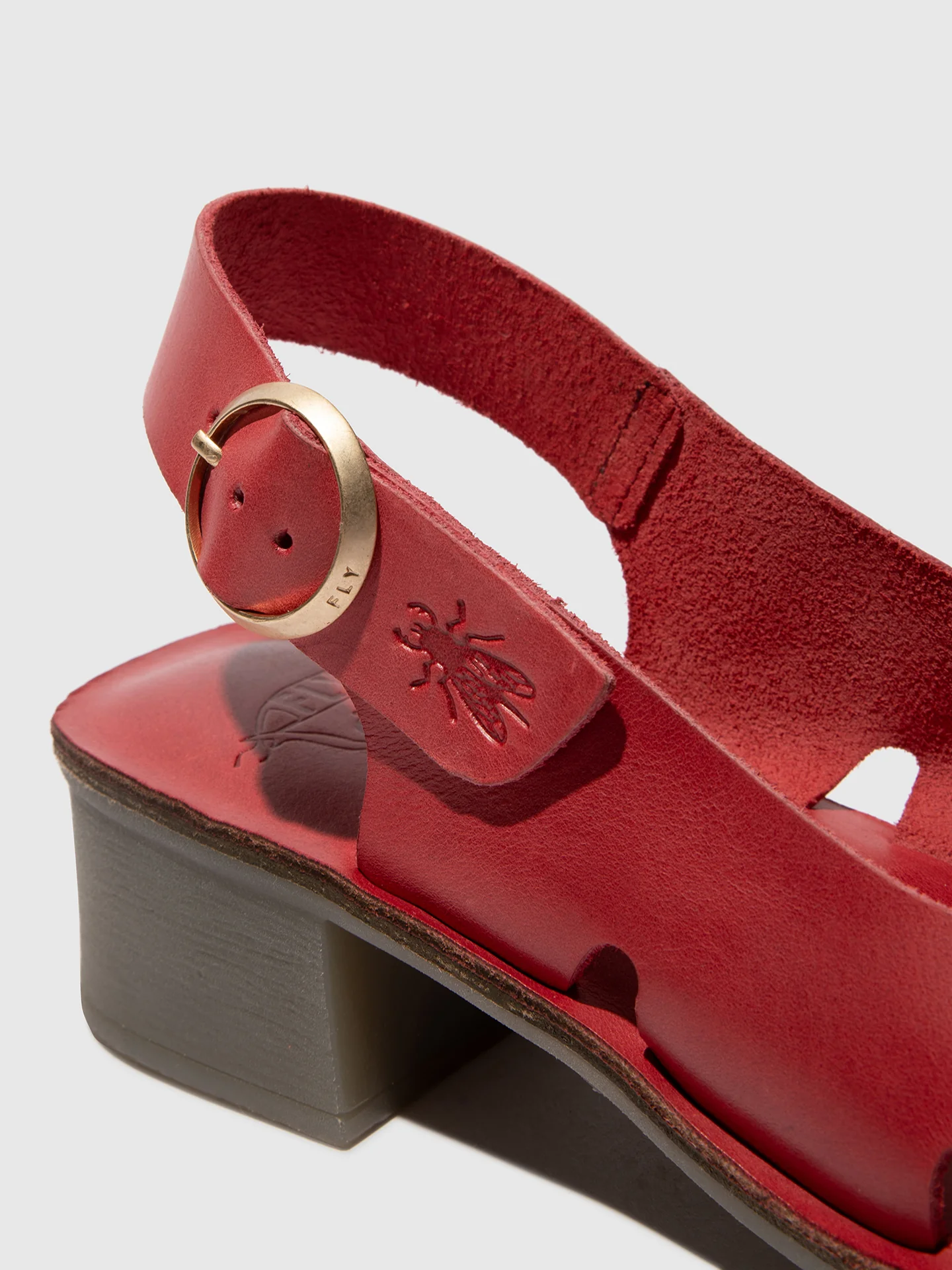 Buckle Sandals EDOV237FLY RUBI - Image 4